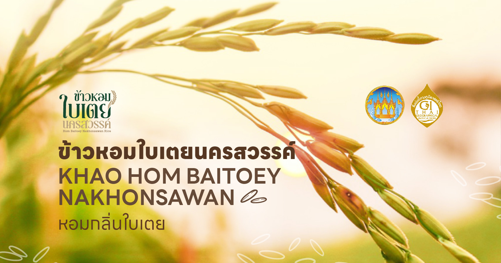 ข้าวหอมใบเตย
